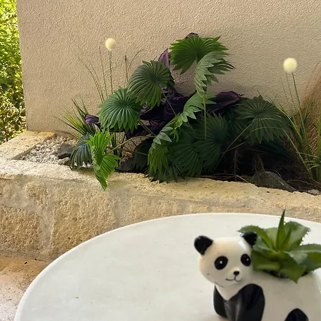 Reve De Panda Avec Sauna Et Jacuzzi Privatif Appartamento *