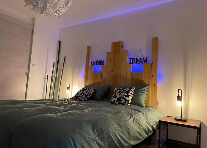 Reve De Panda Avec Sauna Et Jacuzzi Privatif Apartment *