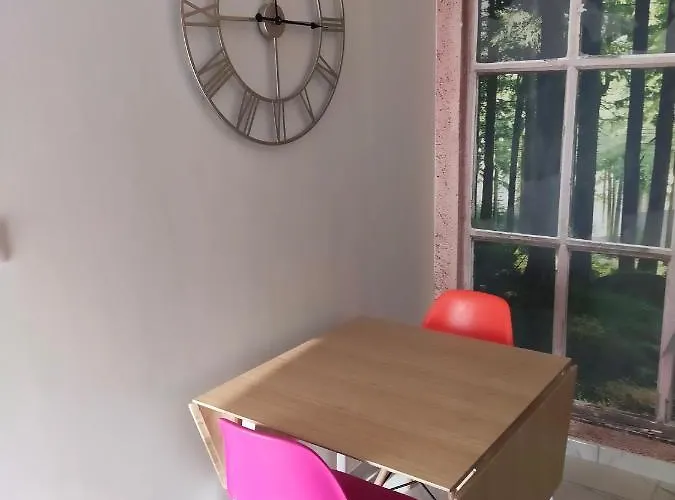 Reve De Panda Avec Sauna Et Jacuzzi Privatif Apartment