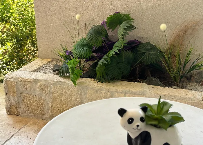 Reve De Panda Avec Sauna Et Jacuzzi Privatif Apartment *